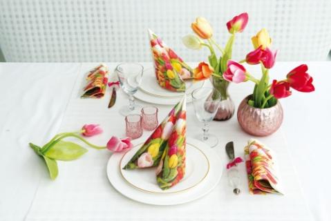 SB Colourfull Tulips